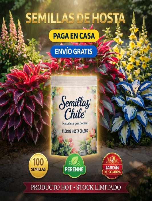 Semillas de Hosta